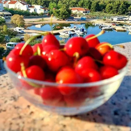 Apartment In Zaboric With Sea View, Balcony, Air Conditioning, Wifi 5177-4 Sibenik