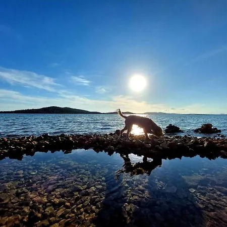 In Zaboric With Sea View, Balcony, Air Conditioning, Wifi 5177-4 *