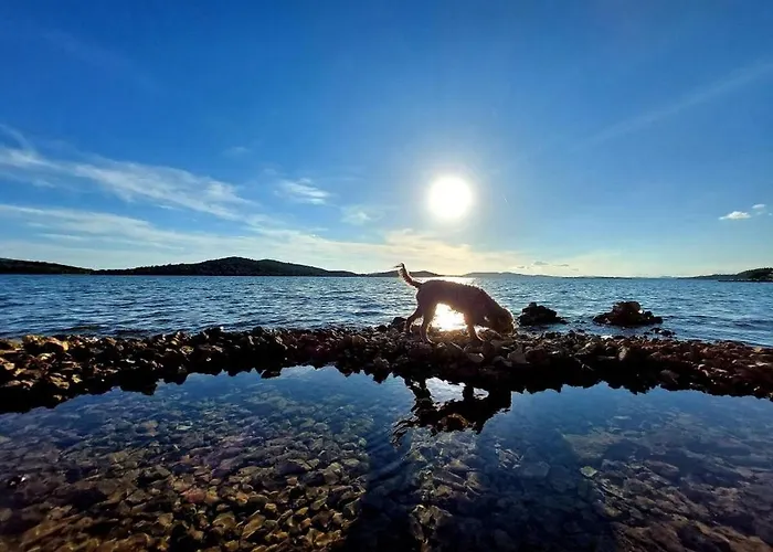 In Zaboric With Sea View, Balcony, Air Conditioning, Wifi 5177-4 *